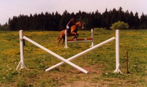 Obrázok